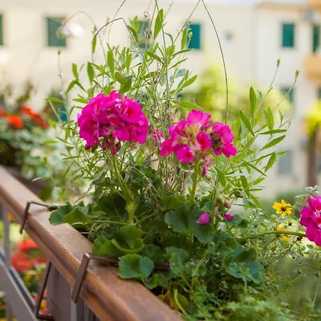 Luxury Luce Appartement *