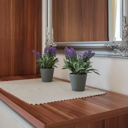 Apartment Luxury Luce *
