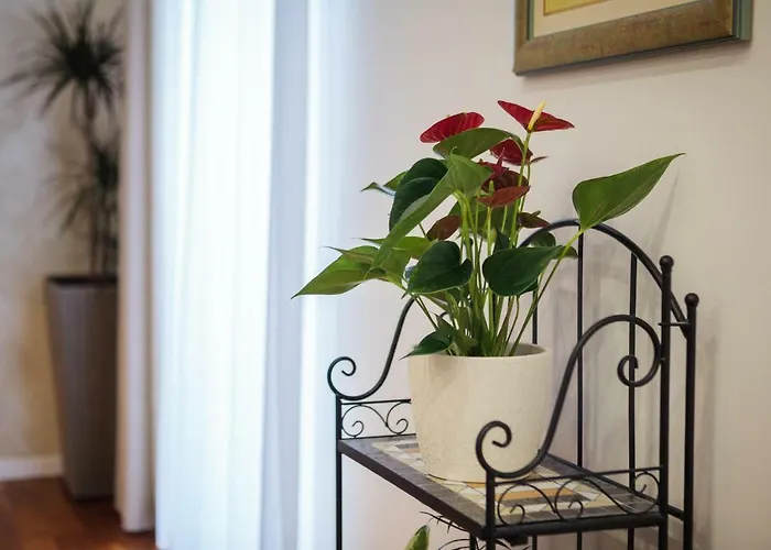 Luxury Luce * Сплит